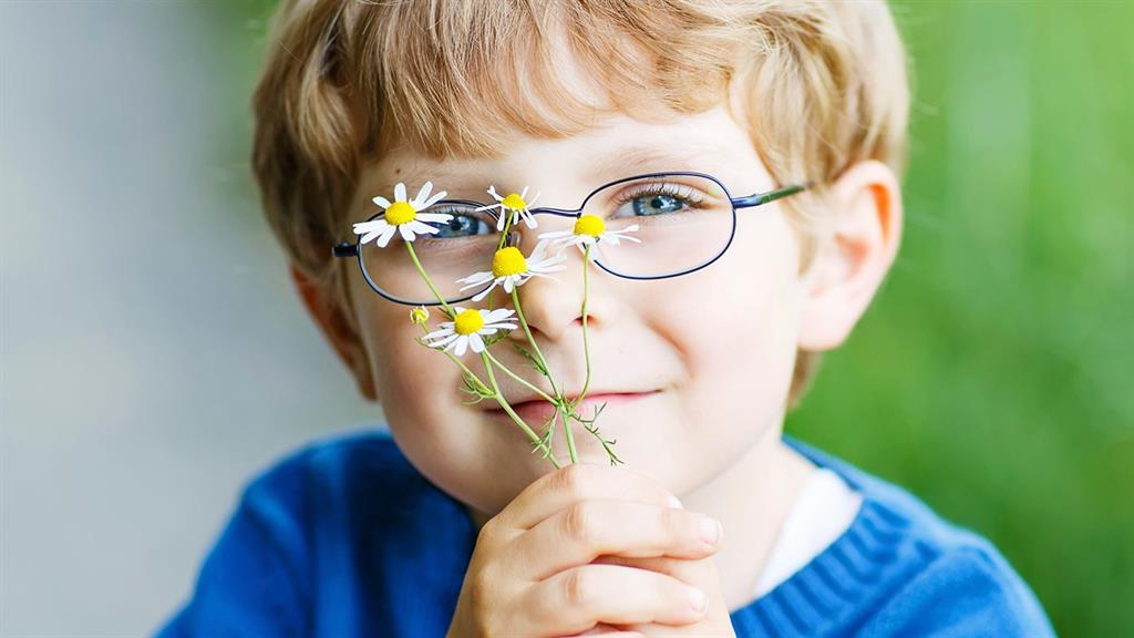 Развитие цветовосприятия у дошкольников с нарушением зрения